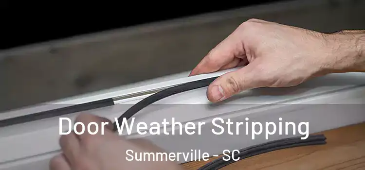  Door Weather Stripping Summerville - SC