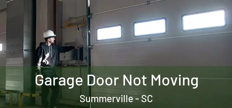  Garage Door Not Moving Summerville - SC
