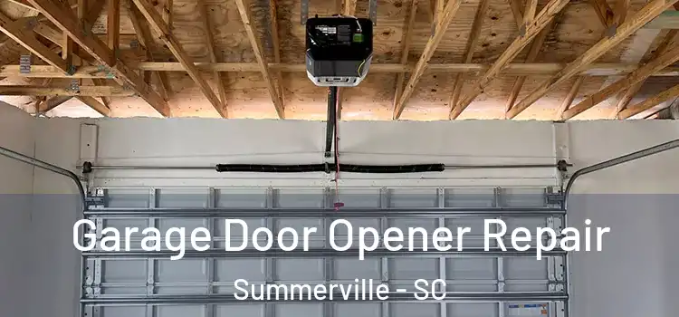  Garage Door Opener Repair Summerville - SC