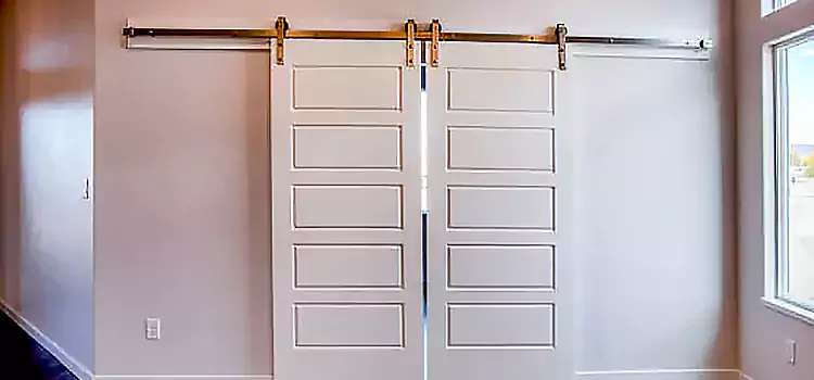 Glass Barn Door with Installation Hardware Kit Summerville