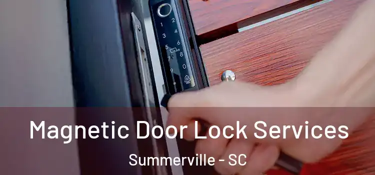 Magnetic Door Lock Services Summerville - SC